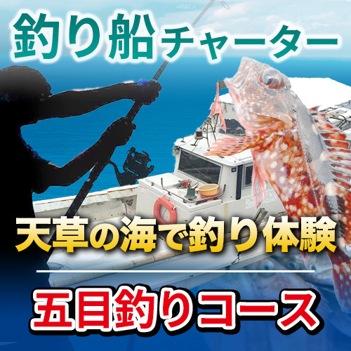 天草釣り船チャータープラン【五目釣りコース】　お弁当の朝食付き