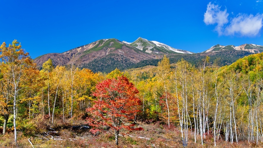 【1泊夕食付】・登山・早朝出発の方に便利★女将手作りのスタンダード料理でおもてなし