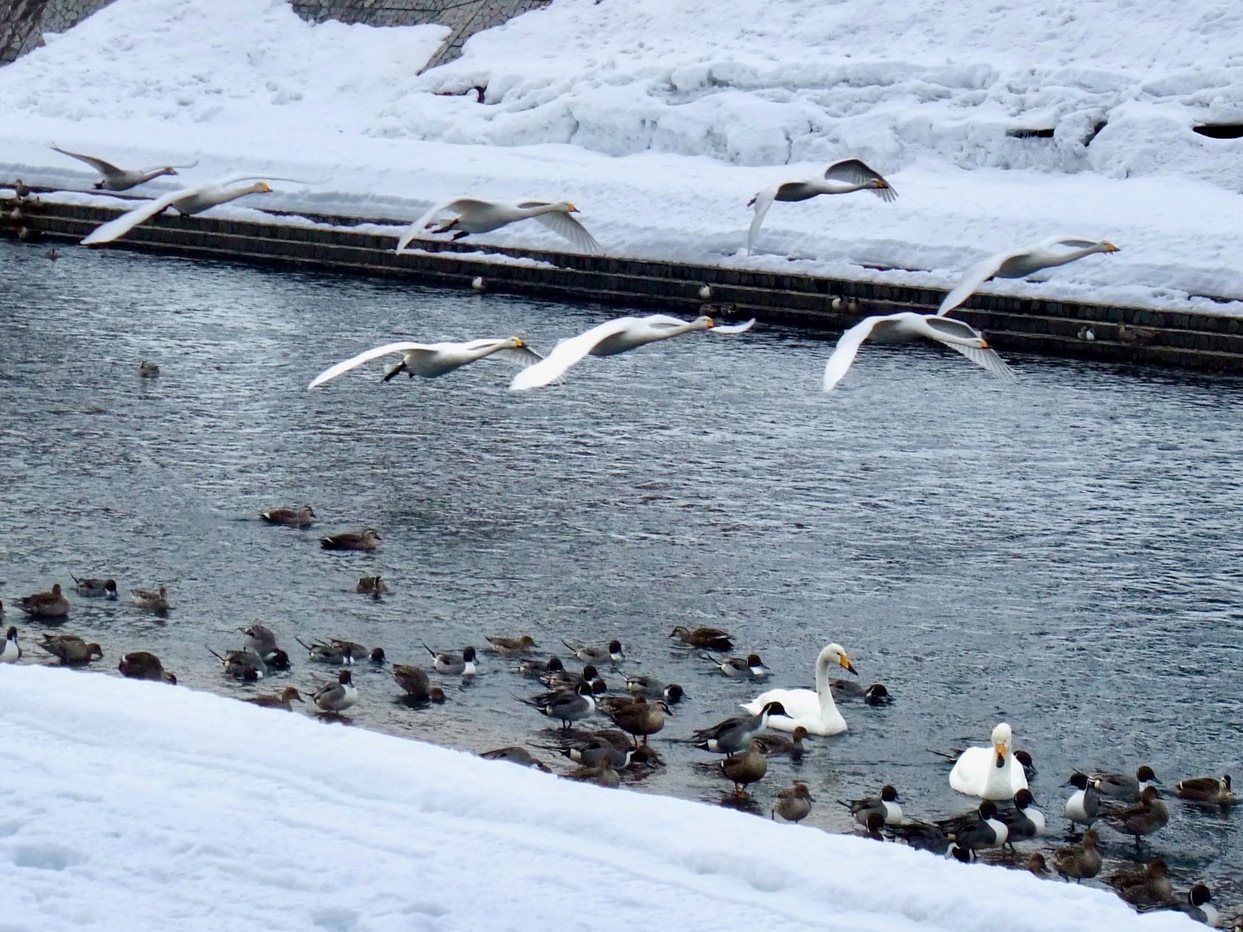 2026年2月通常プラン8畳客室