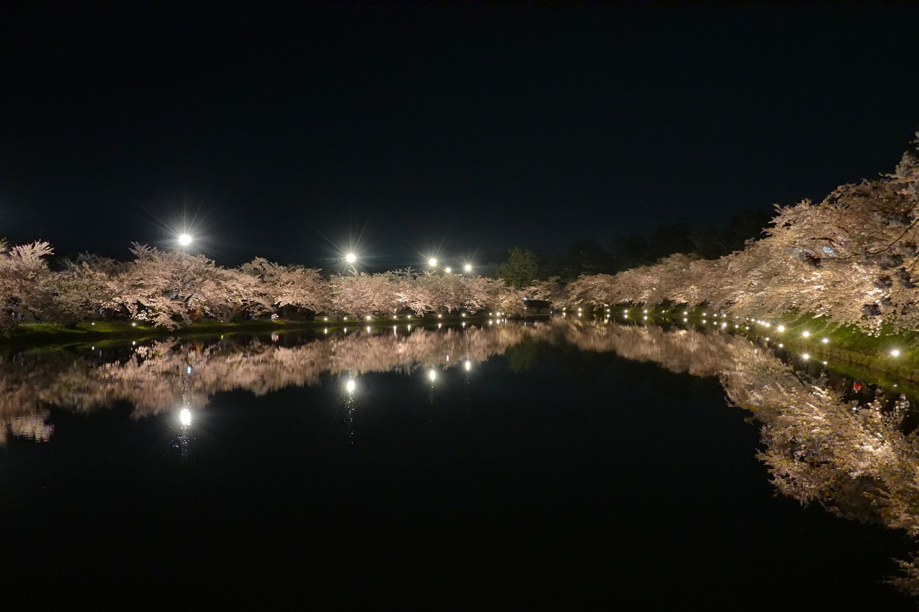 2026さくらまつりプラン8畳和室