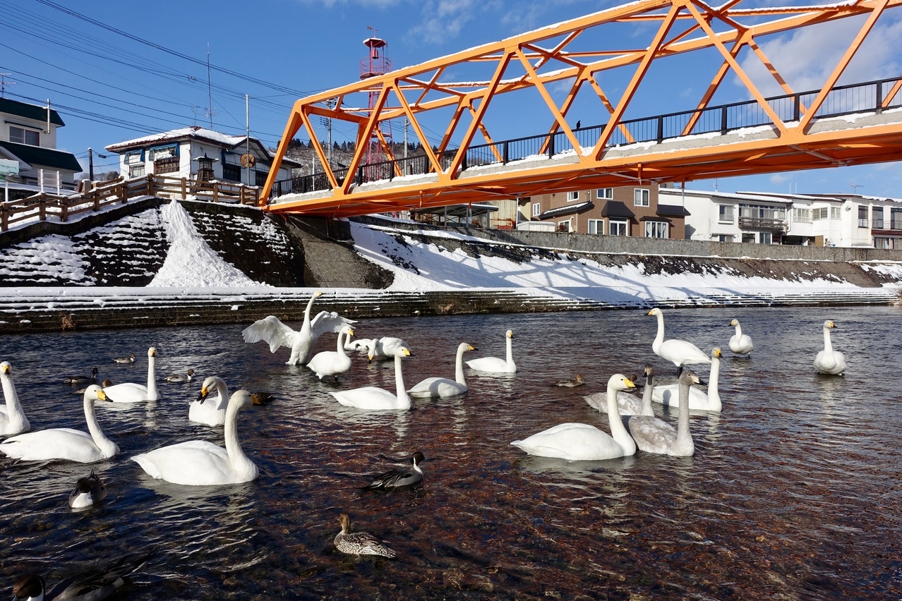 2026年2月通常プラン8畳客室