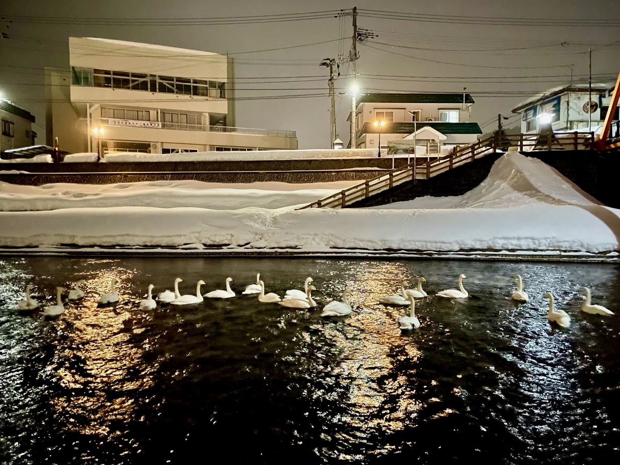 2026年2月通常プラン8畳客室