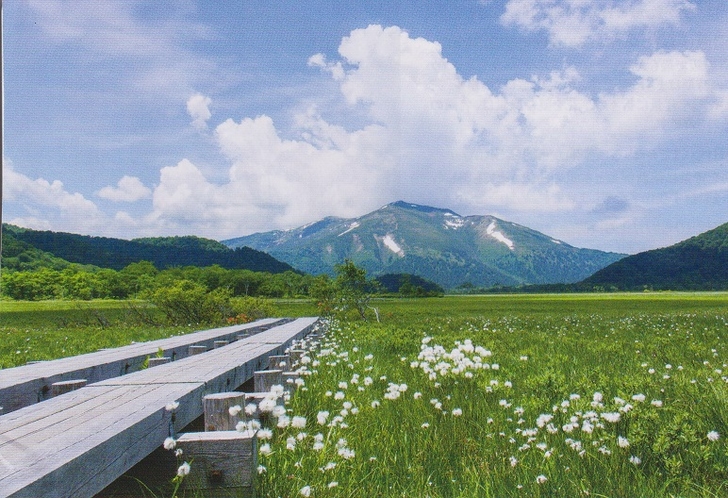 尾瀬ヶ原より至仏山