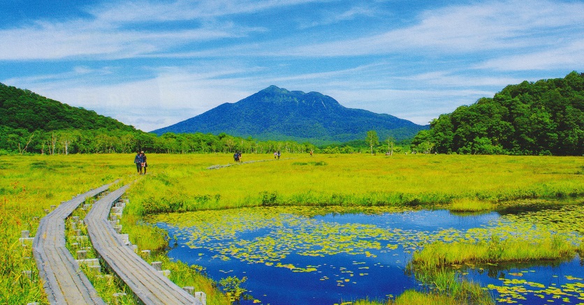 尾瀬ヶ原より燧ケ岳を望む