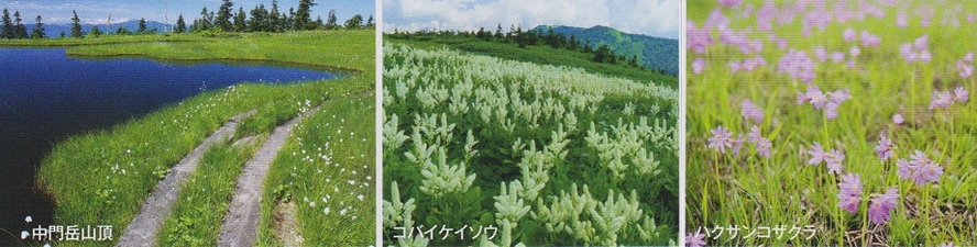 駒ケ岳３画像