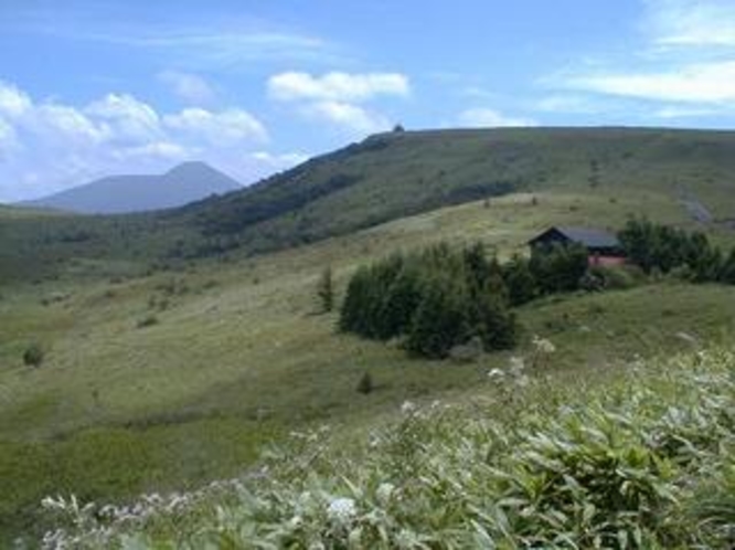 肩からの蓼科山