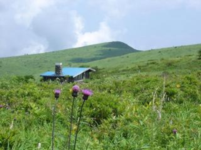 肩の小屋と南の耳