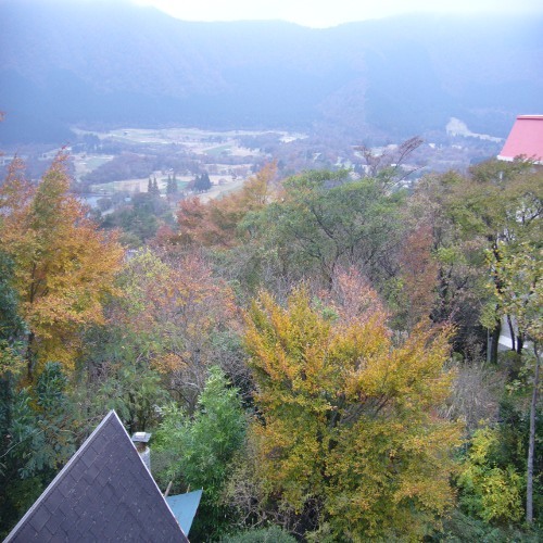 Jal国内線 マイルがたまる国内ホテル一括検索 仙石原温泉 伊藤山荘 神奈川県 仙石原 姥子温泉 Jal国内線 マイルがたまる国内ホテル一括検索 仙石原温泉 伊藤山荘 神奈川県 仙石原 姥子温泉