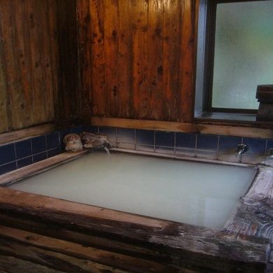 仙石原温泉 伊藤山荘 格安予約 宿泊プラン料金比較 トラベルコ 仙石原温泉 伊藤山荘 格安予約 宿泊プラン料金比較 トラベルコ