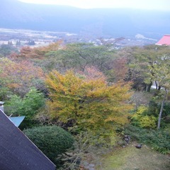 お部屋からの景色　秋④