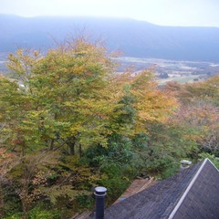 お部屋からの風景　秋