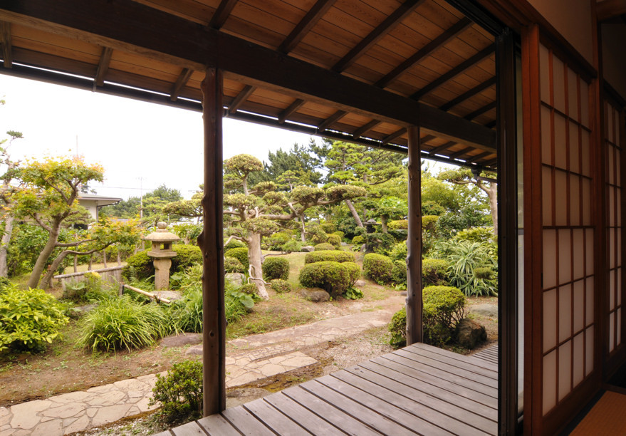 View of the garden from the next room