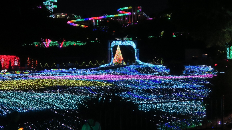 【体験型イルミネーション「グランイルミ」入園券付き】光と感動が彩る幻想の夜