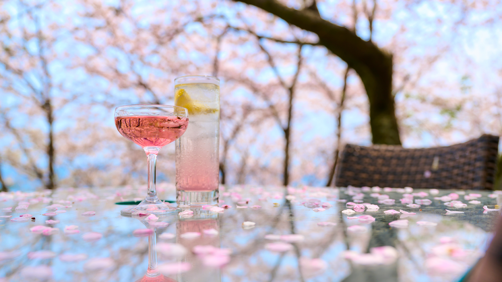 桜を見ながらで愉しむアペリティフテラス