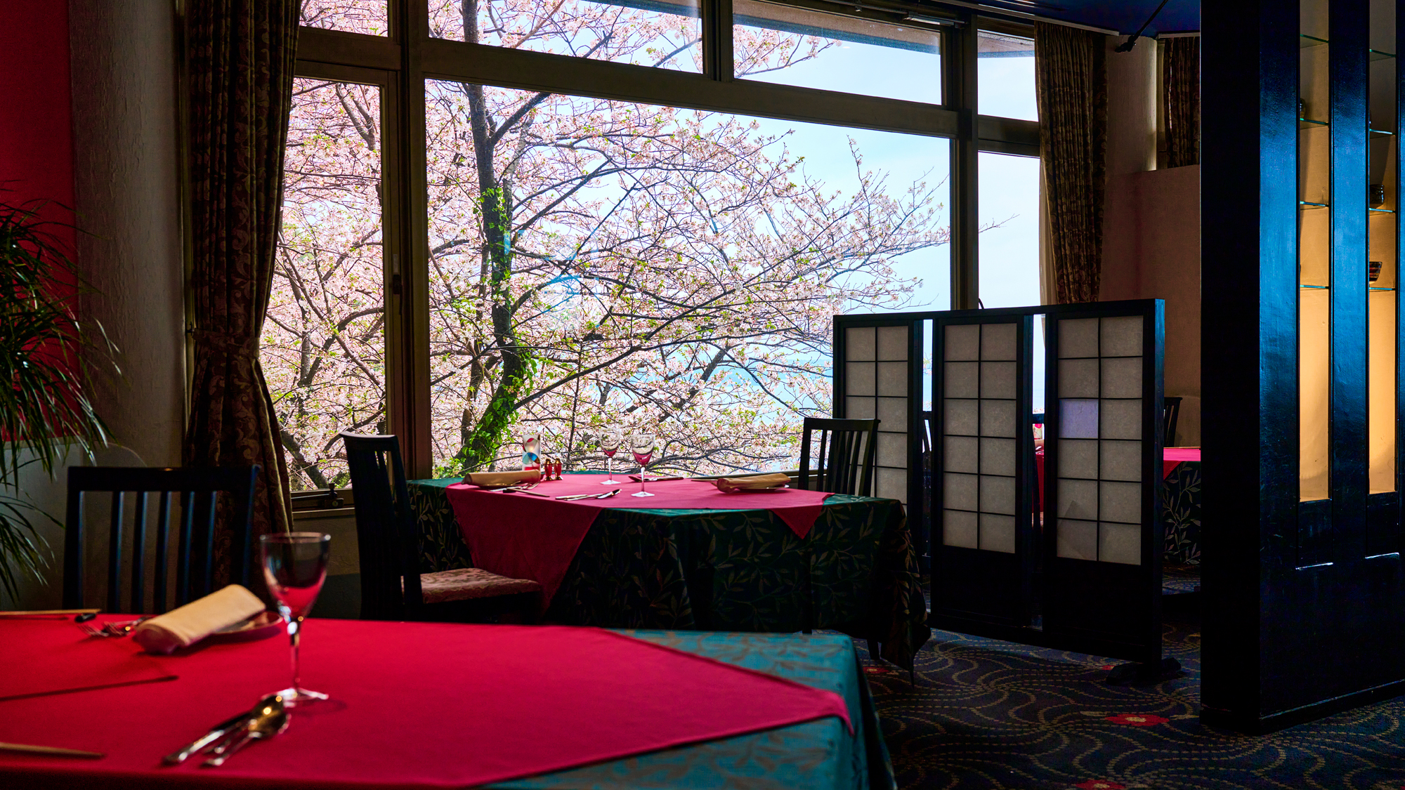 レストランから望む桜の風景