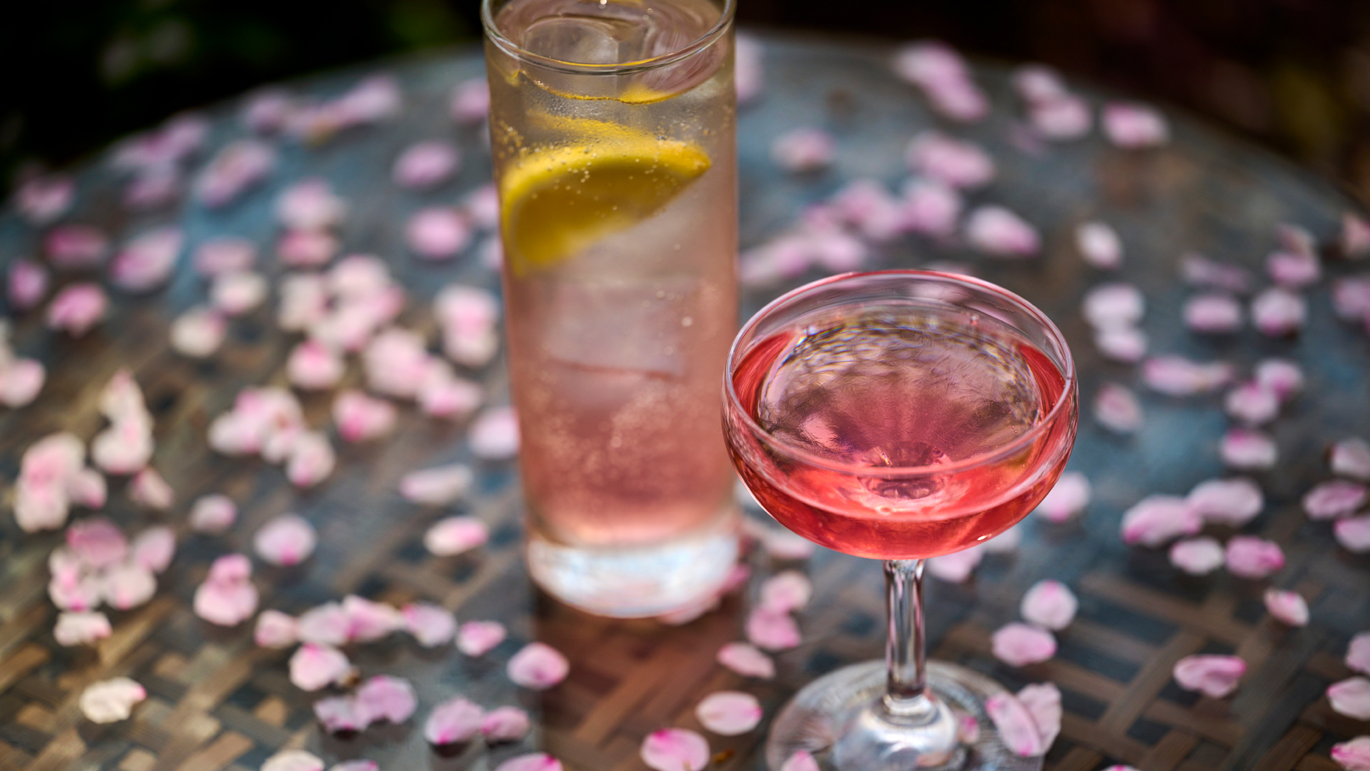 桜を見ながらで愉しむアペリティフテラス