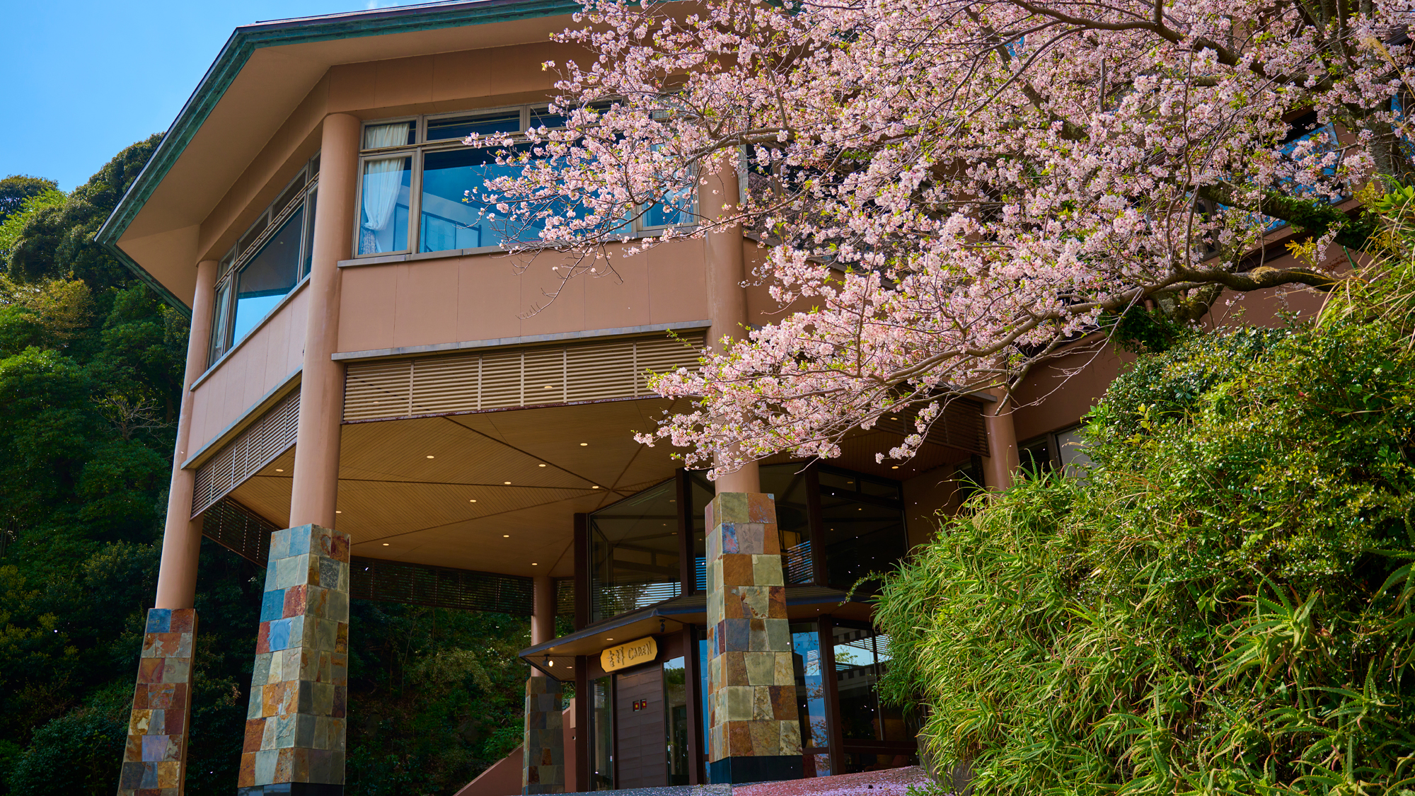 外観の桜イメージ