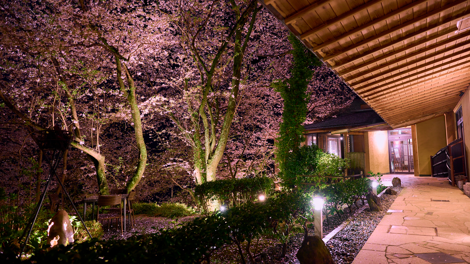 桜を望める中庭