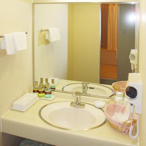 Deluxe twin washroom