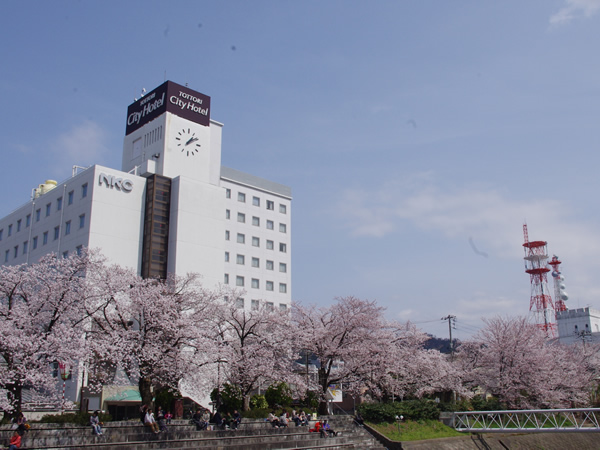 桜土手に面しています