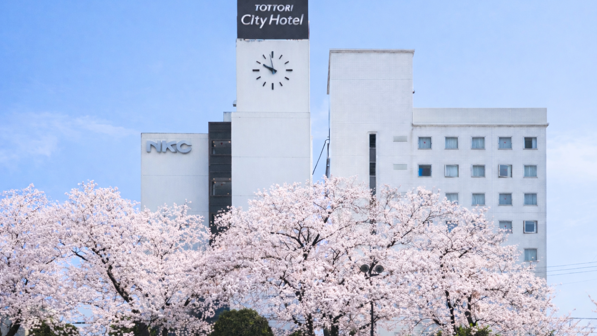 外観(桜)