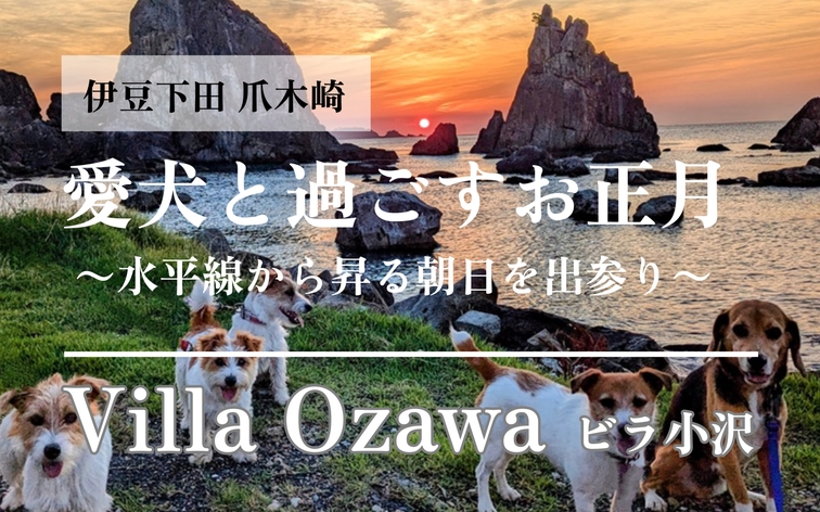 【年末年始・事前決済・ペット○】伊豆下田の1棟貸しで愛犬と過ごすお正月旅（BBQ可、軽朝食サービス）