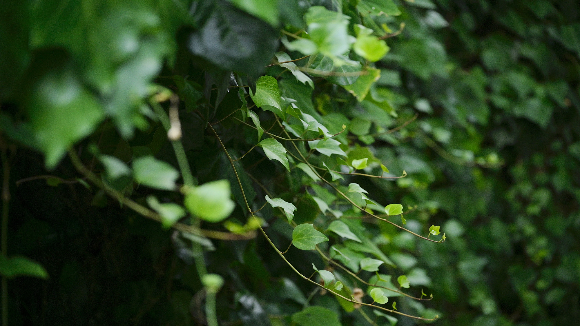 【施設】イメージ