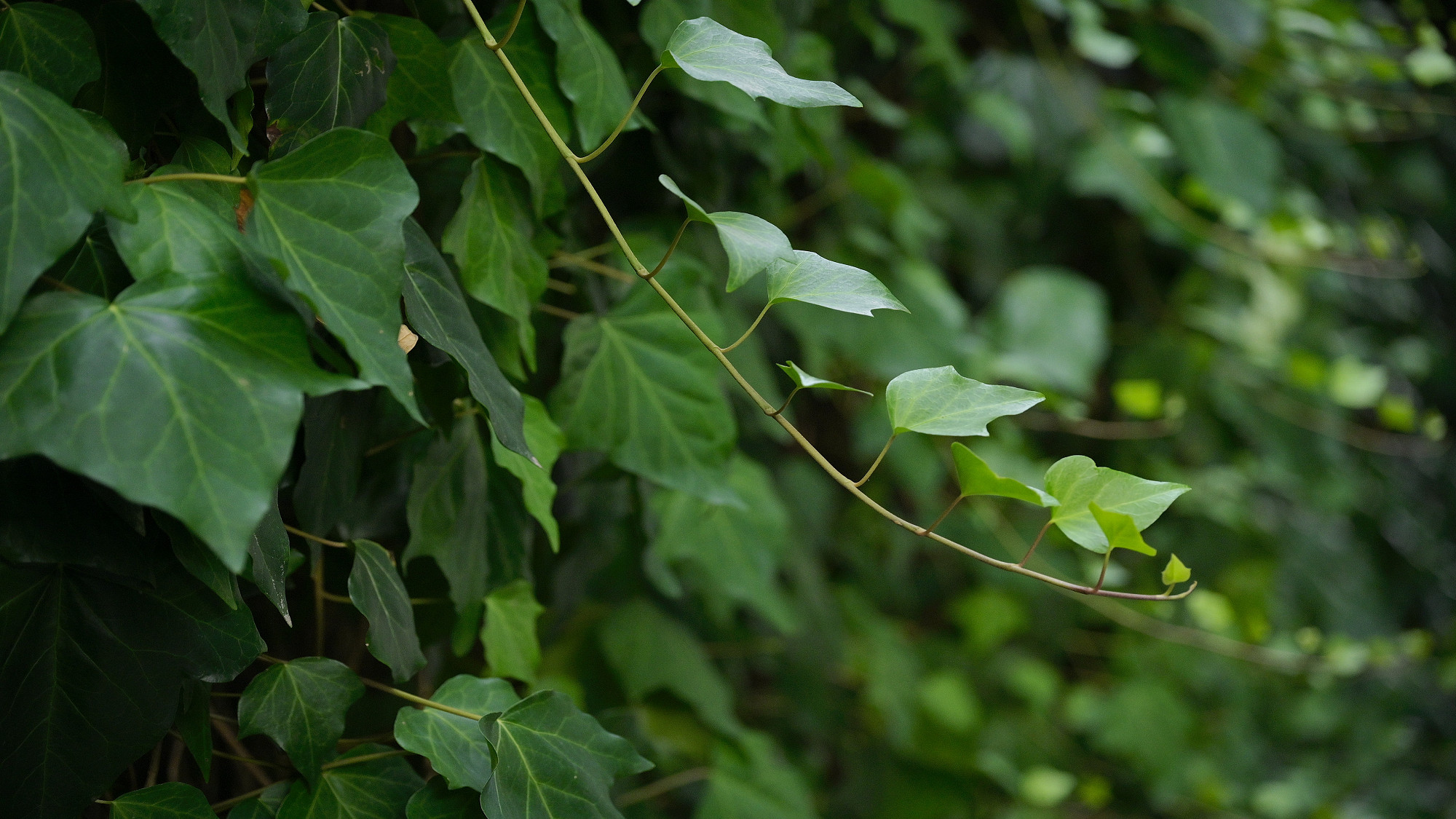 【施設】イメージ