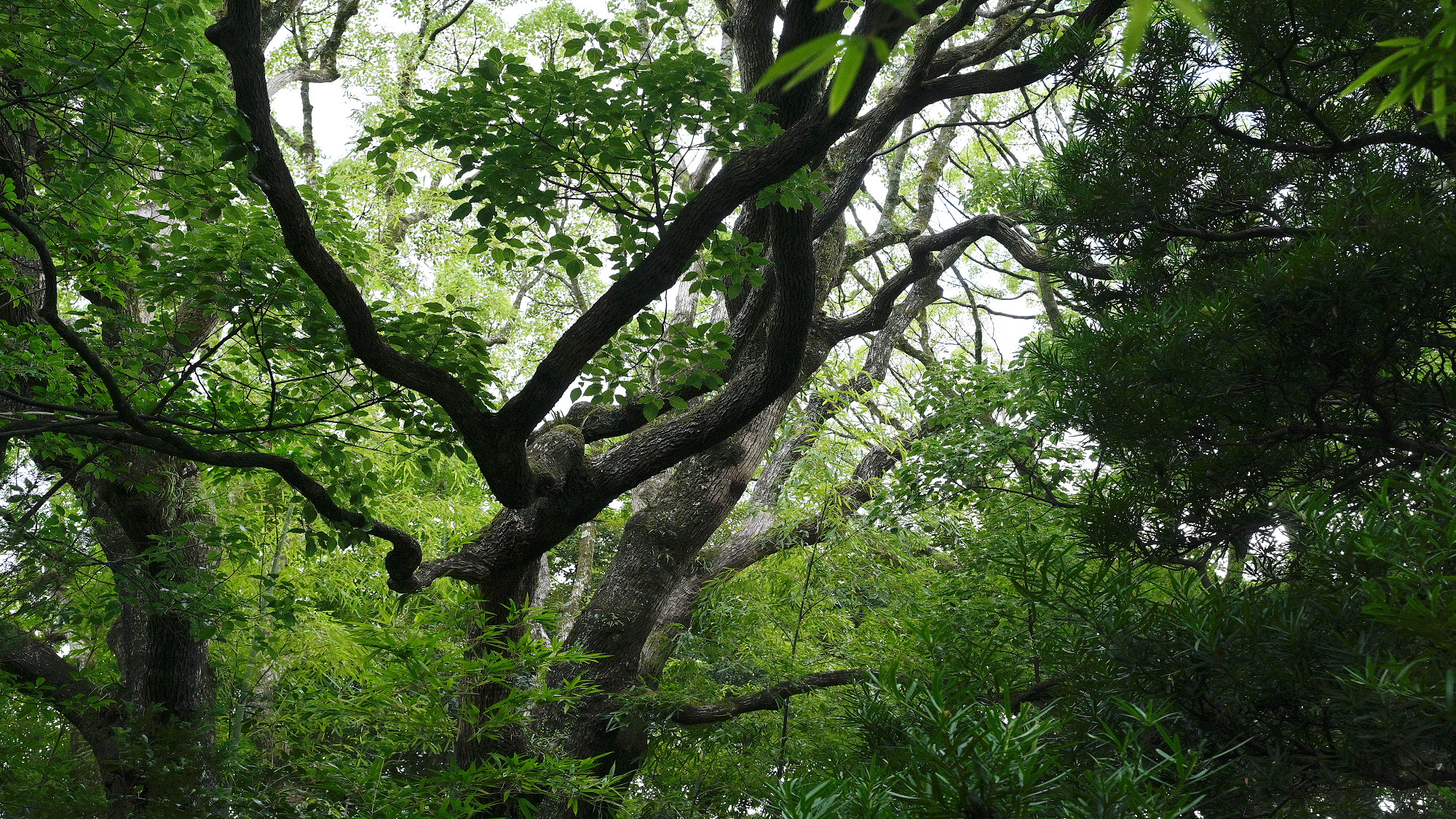 【施設】イメージ