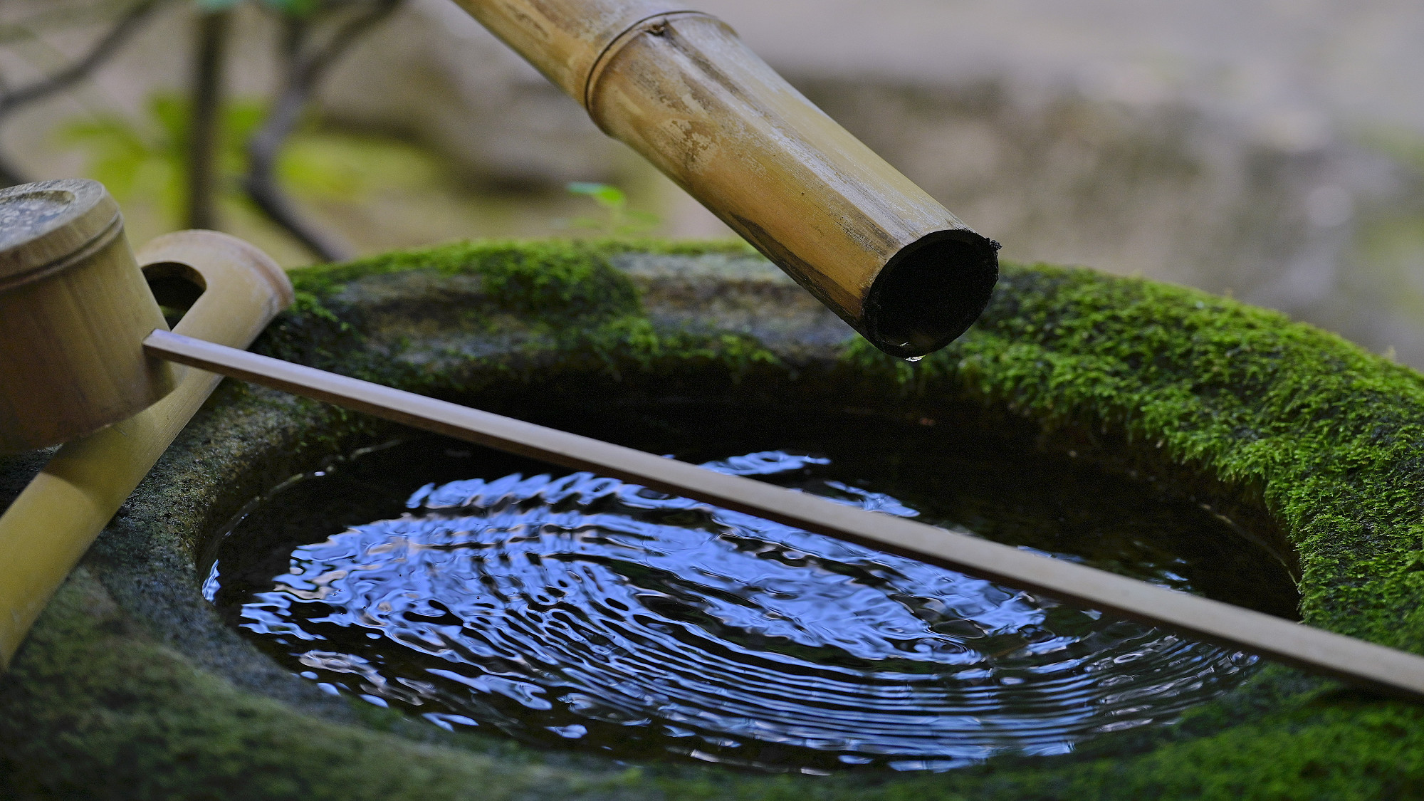 ＜桃山＞離れ風半露天風呂付客室／和室2間＋縁側付