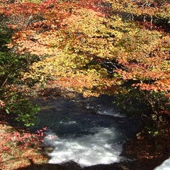 施設周辺／夕滝の紅葉！徒歩5分！