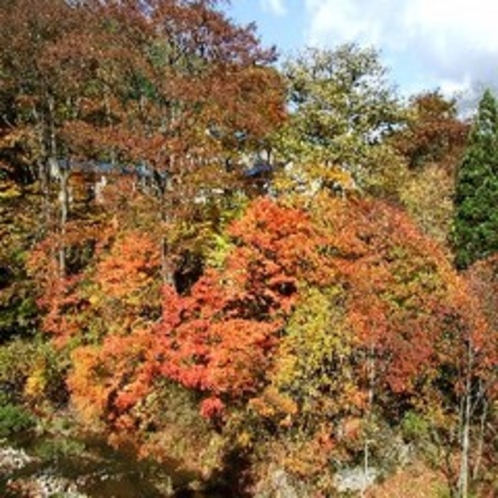 施設周辺／鴬宿温泉内の紅葉シーズン風景♫