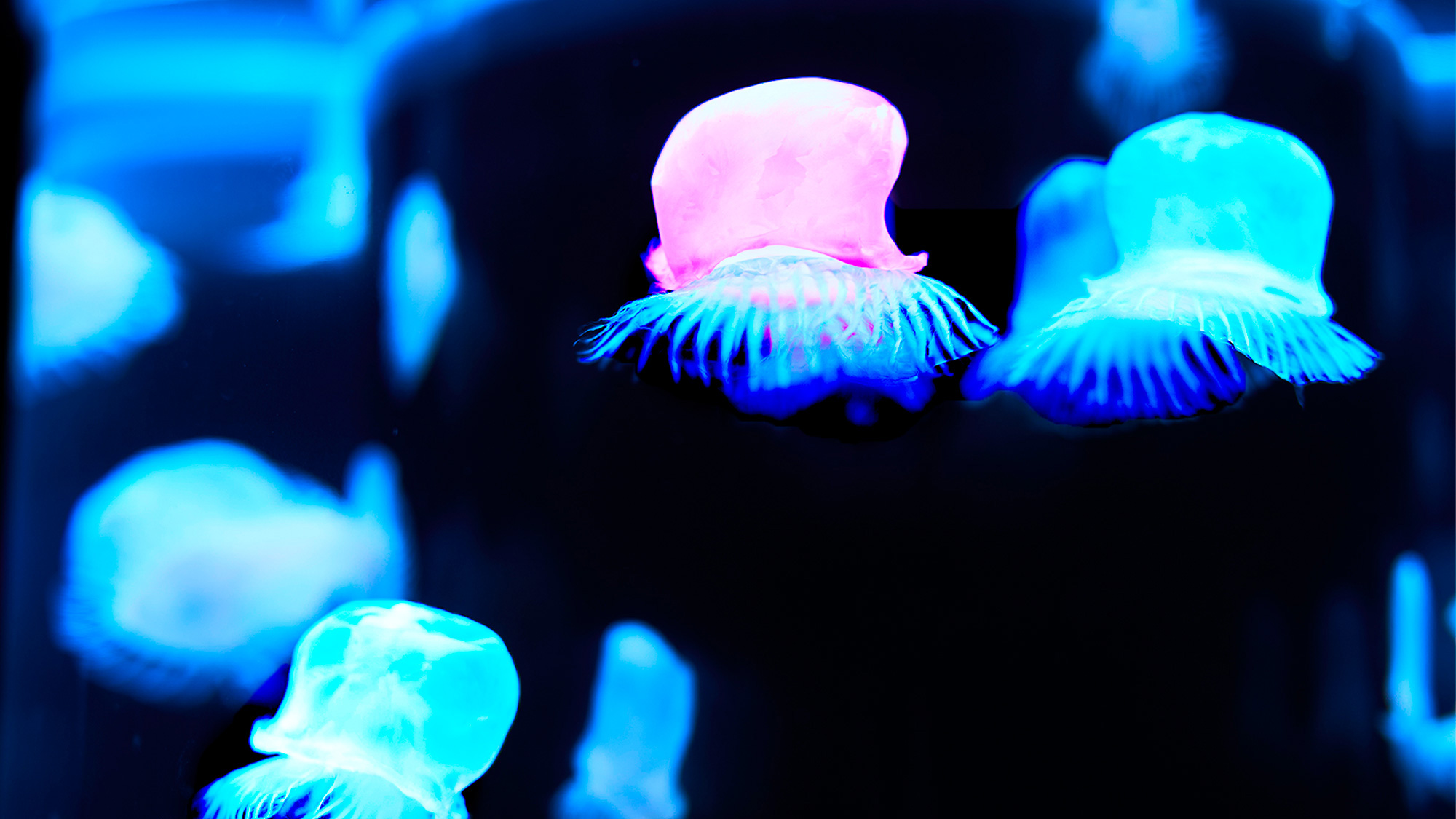 エレベーターホール