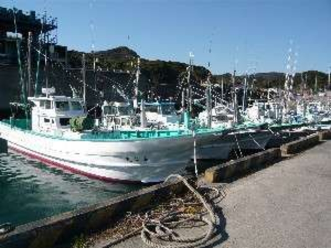 弓ヶ浜漁港の風景　ここから活きのいい魚が水揚げされます