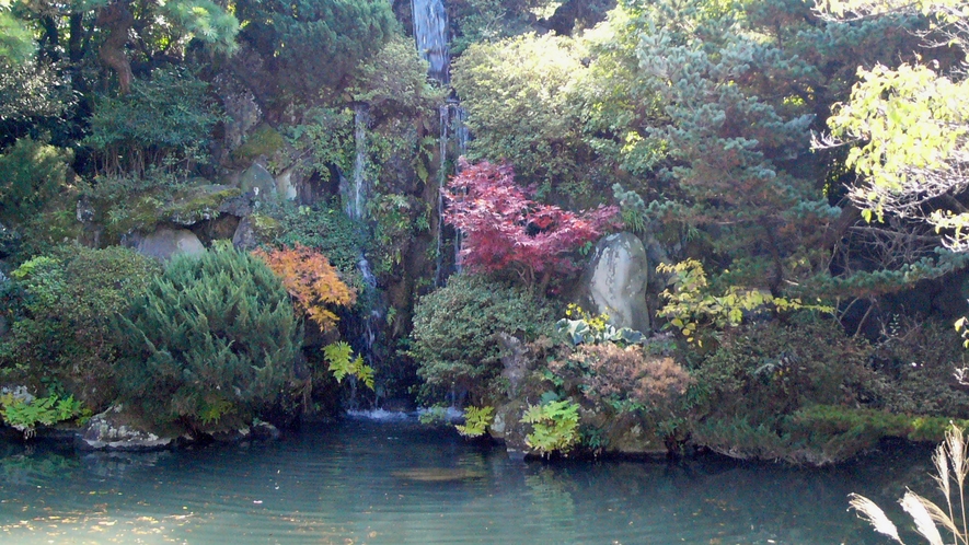 *庭園の眺め／春は新緑、秋は紅葉が美しい日本庭園。お部屋や食事処からご覧いただけます。