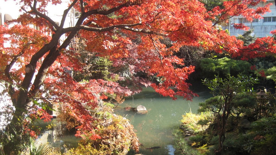 *1階和室8畳一例／鮮やかに色付く木々が美しい紅葉の季節。お部屋からこの眺めをお楽しみ下さい。