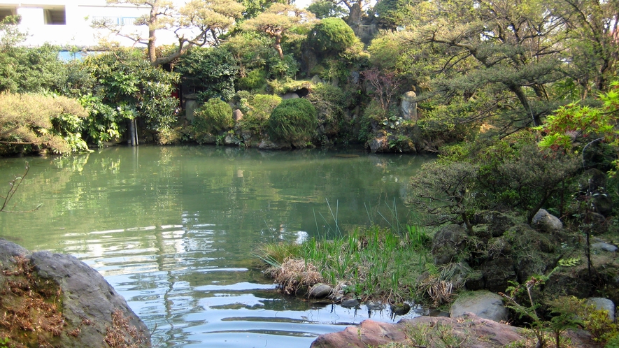 *庭園の眺め／お部屋を囲むように広がる日本庭園。大きな池が印象的です。