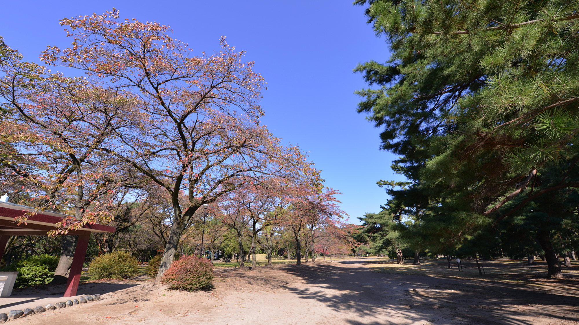 *敷島公園/利根川と広瀬川に挟まれた広大な面積を有する公園。晴れた日の散策に◎