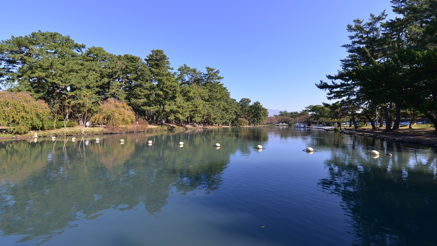 *敷島公園/園内にある“ボート池”ではスワンボートも楽しめます。カップルやファミリーにおすすめ！
