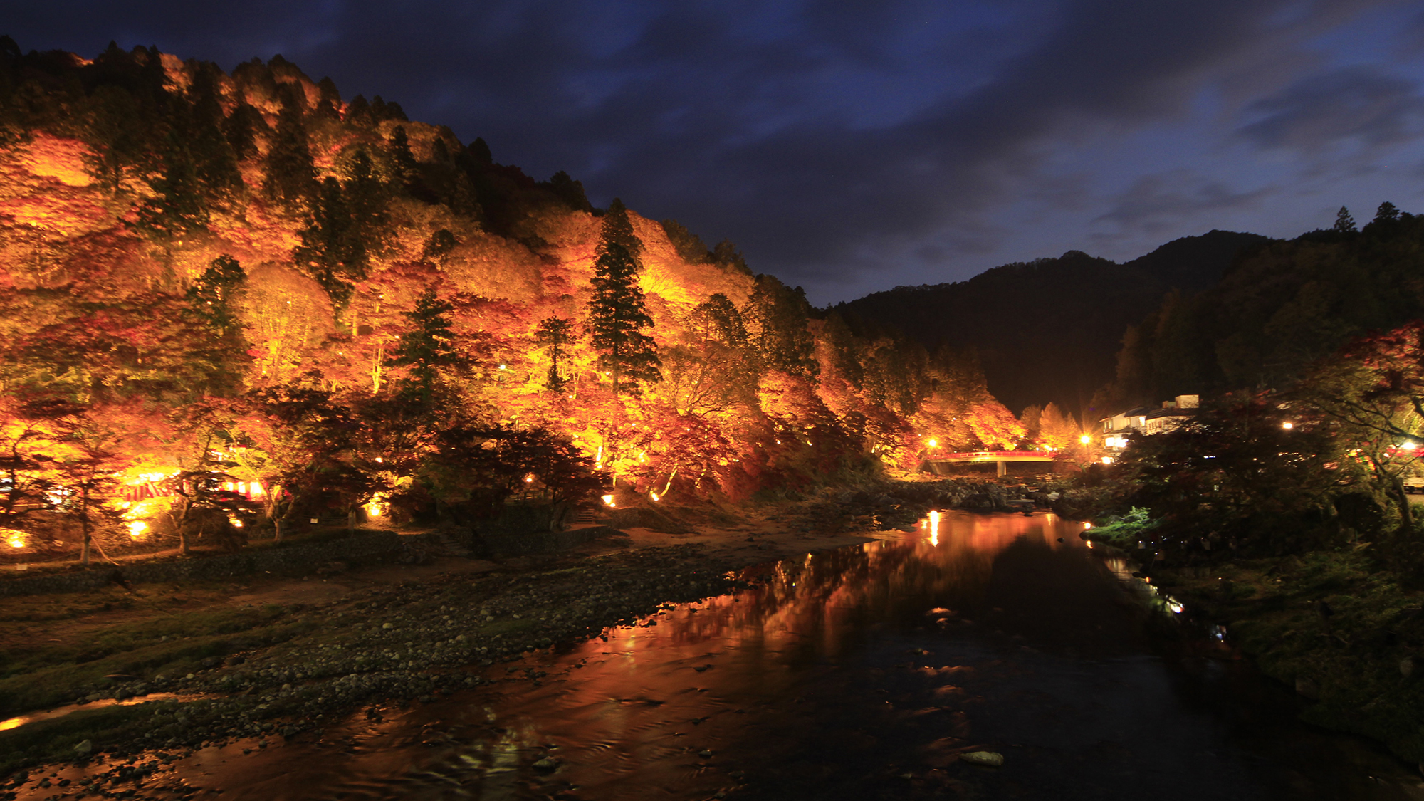 【紅葉】毎年11月が見頃です♪～夜にはライトアップも！～