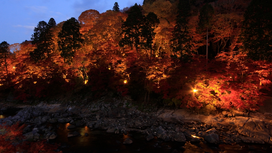 【紅葉】毎年11月が見頃です♪～夜にはライトアップも！～