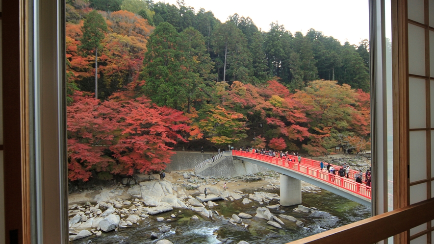 客室から見える景色