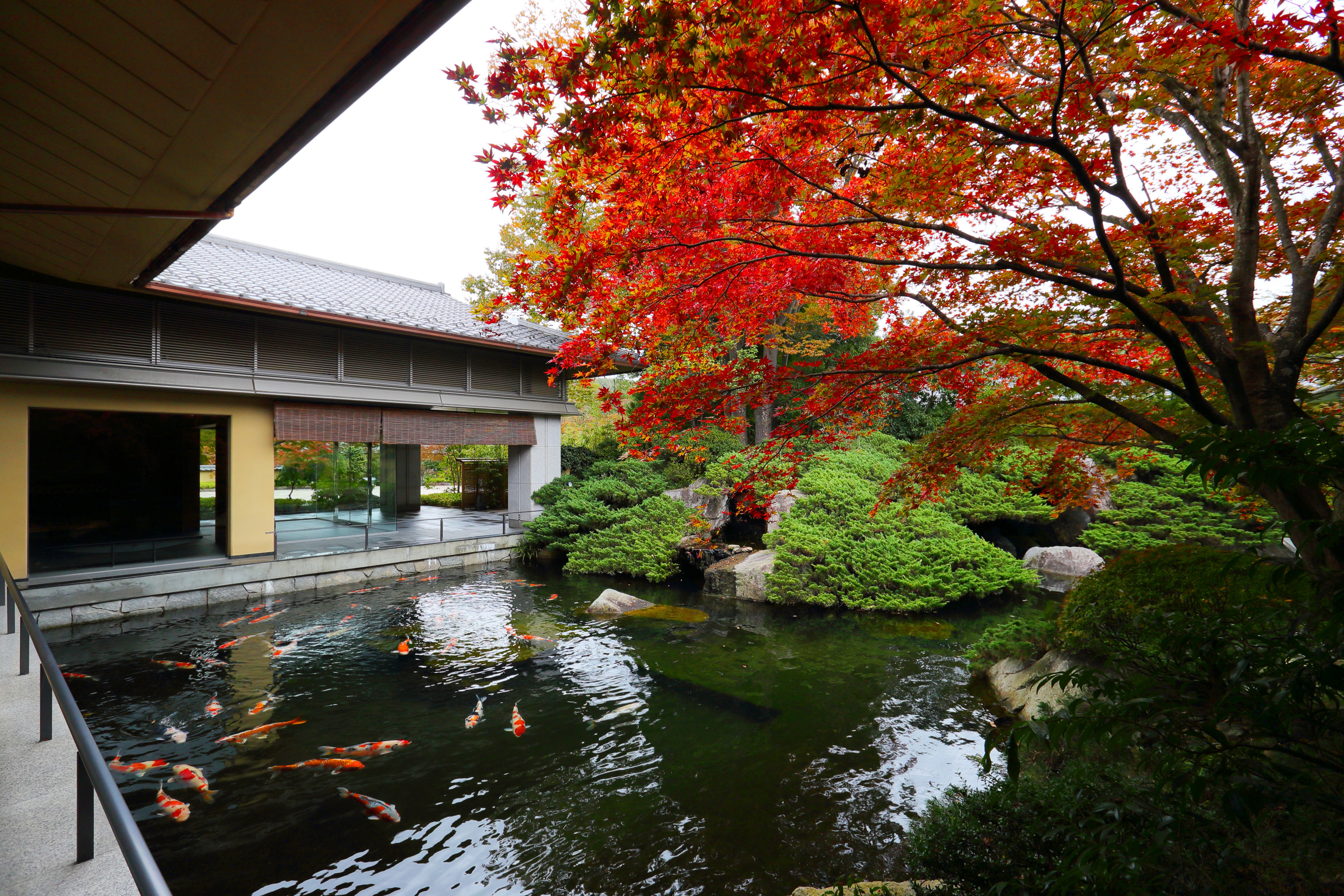 日本庭園