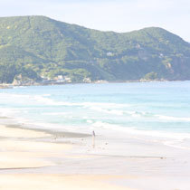 【夏得】家族、友達とのんびり過ごす伊豆白浜夏休みプラン！