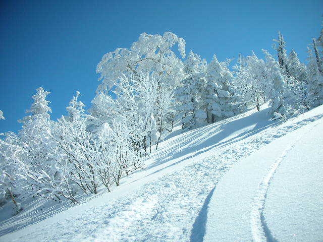 期間限定1泊2食ロープウェイリフト2日間付プラン
