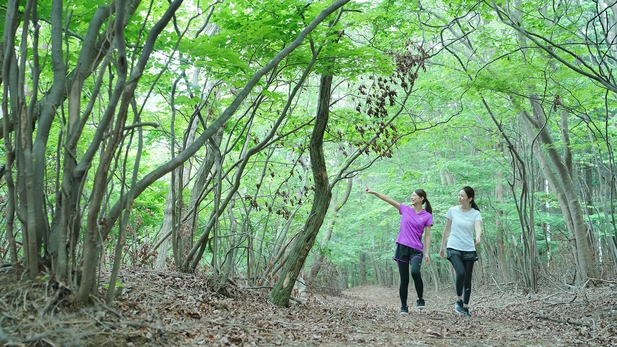 【連泊】2連泊以上でお得！霧生温泉と自然と食事を楽しむプラン