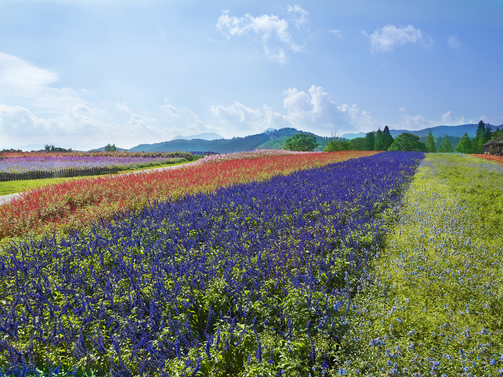 【基本プラン】温泉でのんびりゆったり！三重の味覚を味わうメナード青山リゾート基本プラン