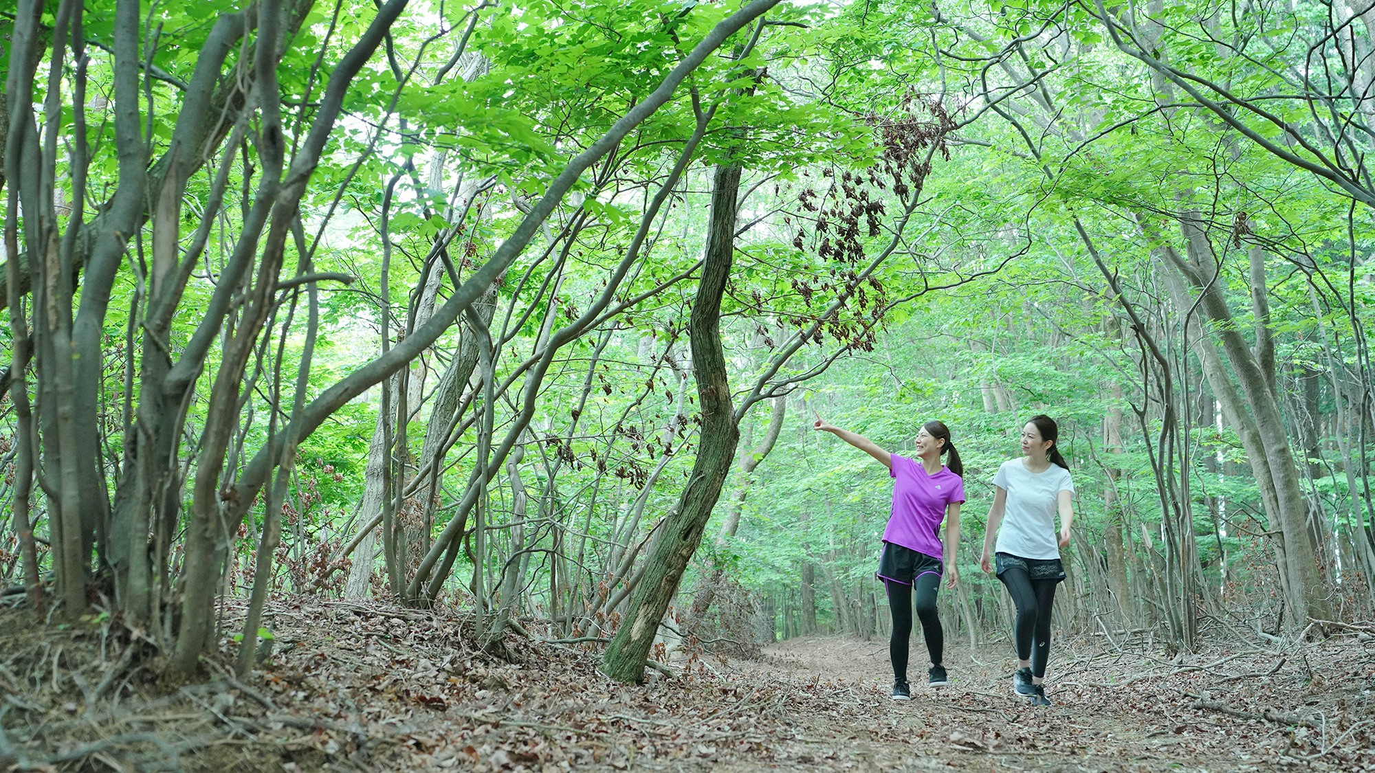ネイチャーウォーキングコース