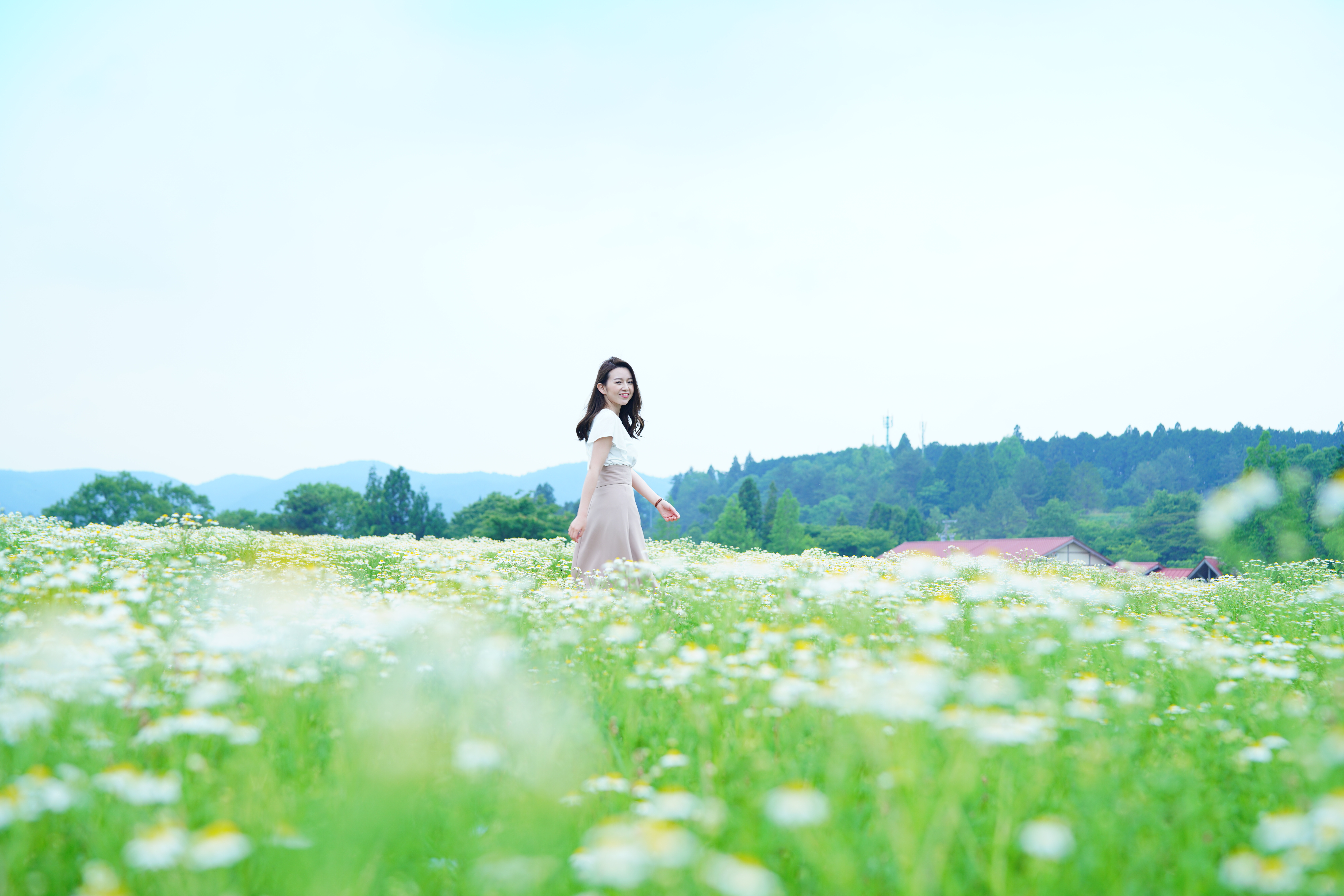 ハーブガーデン　カモミール　（イメージ）