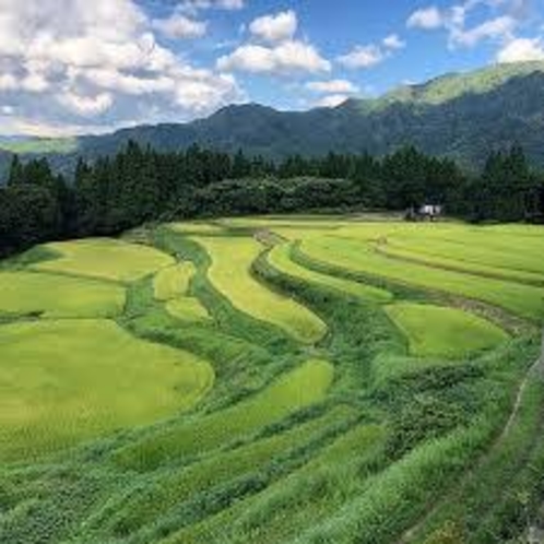 うへ山の棚田